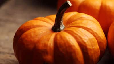 Pumpkin