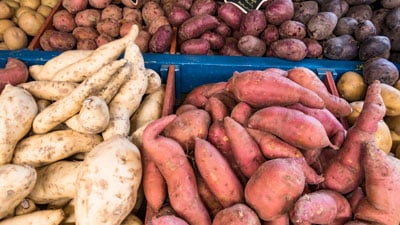 A bunch of different types of potatoes are on display.
