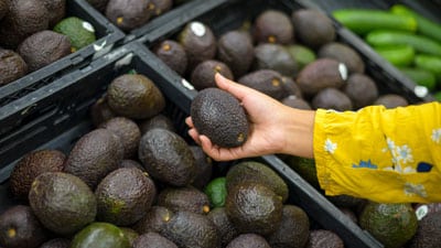 A person holding an avocado in their hand.