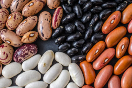 Common Beans