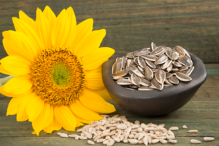 Sunflower Seeds