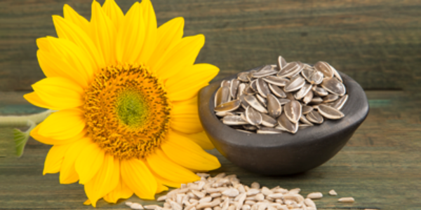 Sunflower Seeds