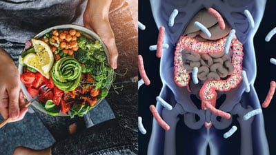 Budha bowl next to graphic of microbiome in the gut.