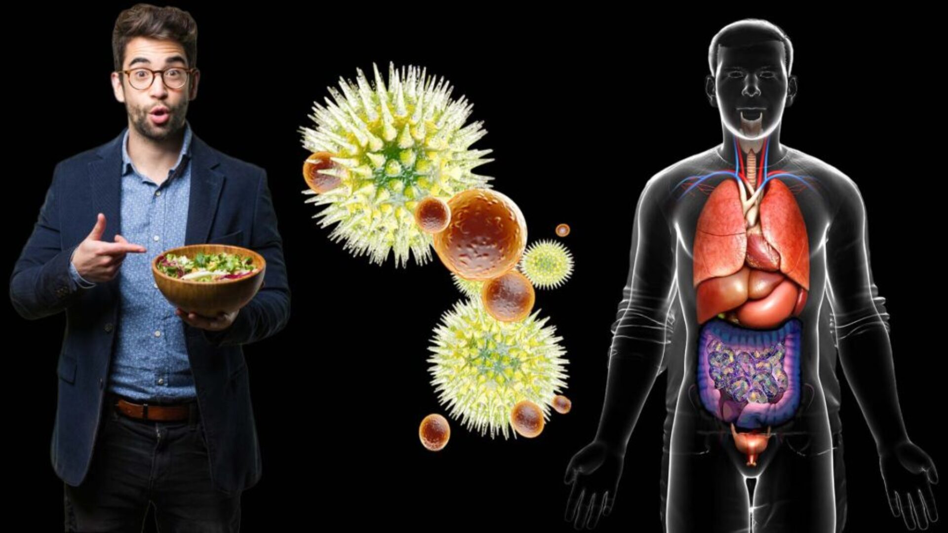 Human organs and functions.