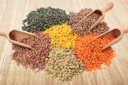 Lentils