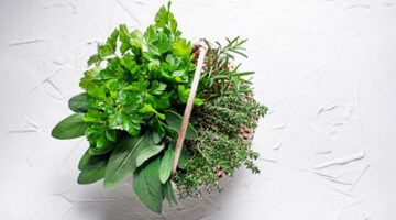 A bowl of herbs with wooden stick in it.