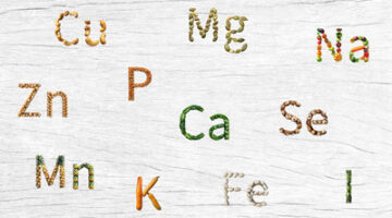 A white board with the letters of the alphabet written in different colors.