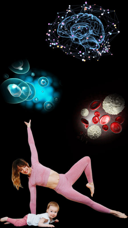 Protein in our brain, cells, muscles, bones, hormones, skin, red cells, white cells, detoxification, and early development.