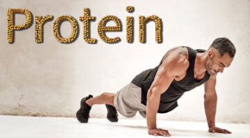 Protein