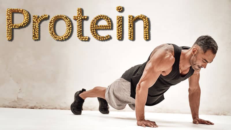 Lysine, an essential amino acid, helps with calcium absorption, which is important for muscle contractions and our heart’s rhythm regulation.