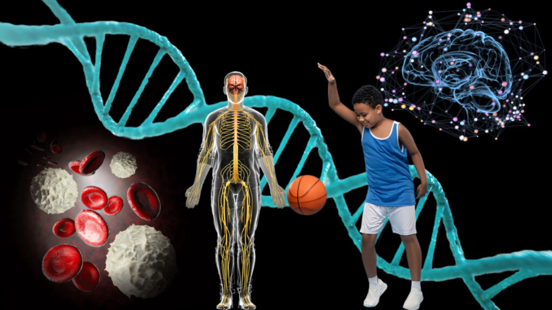 A collage of images with a person and a basketball.