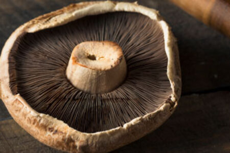 Portabella Mushrooms