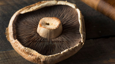 Portabella Mushrooms