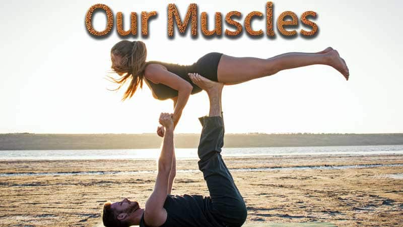 A young man holds a young woman up with his legs and arms. They're both clearly using their strong muscles. A text made out of soybeans reads Our Muscles above them.