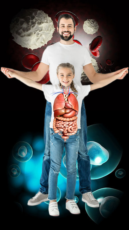 A man and woman are standing in the shape of organs.