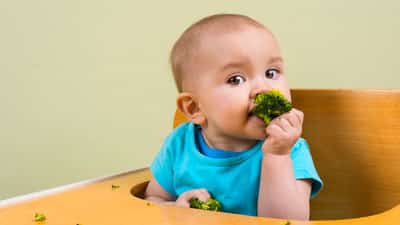 Be NutriSavvy A baby sitting in a high chair eating broccoli.