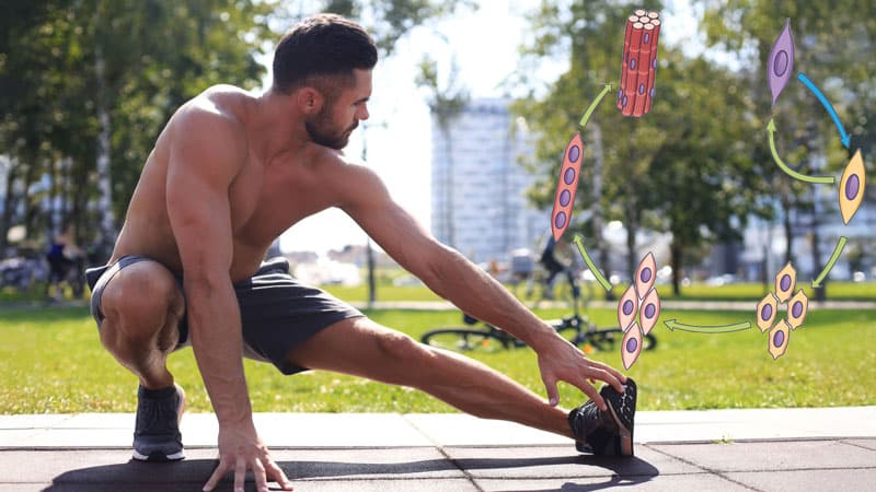 A man stretching his legs on the ground.
