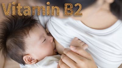 Vitamin B2.