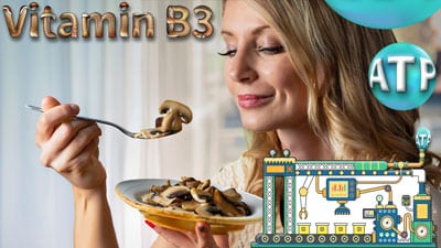 Vitamin B3.