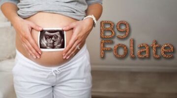 Vitamin B9 Folate.