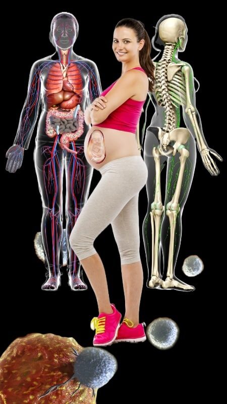 Common beans nutrition and benefits to our heart, brain, bones, muscles, metabolism, early development, reproduction, digestion, and gut bacteria.