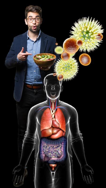 How fiber and SCFA support our body.
