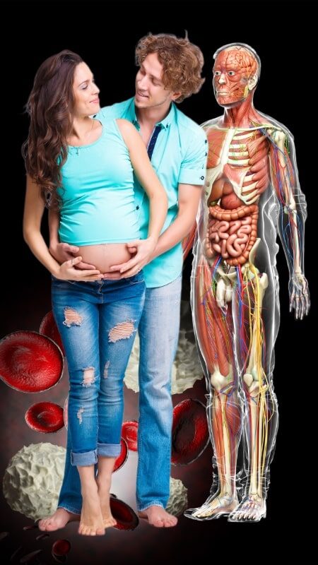 Avocado Benefits - Be NutriSavvy Avocado benefits to our heart, brain, bones, muscles, reproductive health, early development, blood cells, sight, and more.